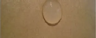 Formulating Water Repellent Varnishes