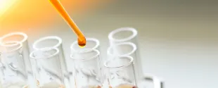 Huntsman opens new Hungary manufacturing facility for amine catalysts