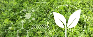 BASF secures CDP “A” ratings for climate and forest protection