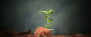 Lubrizol 2024 Sustainability Report
