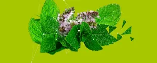 Mibelle Biochemistry Launches Ingredient to Enhance Skin Brightening from Within
