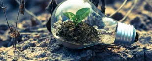 Milliken  Company Earns 2024 EcoVadis Gold Rating