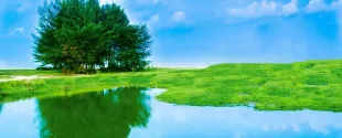 Nouryon 2023 Sustainability Report