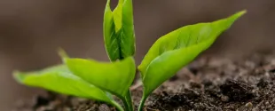 Nouryon releases its sixth annual sustainability report