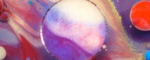 Particles-Polymer Dispersions