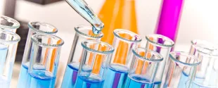 The Dynamic Role of IPEMA as a Reactive Diluent