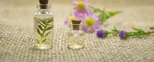 Sabinsa and Organica Aromatics to Showcase REACH-registered Ingredients at SIMPPAR