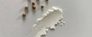 Seppic Launches Powder Grade of Its Nutraceutical Active Ingredient for Skin Protection