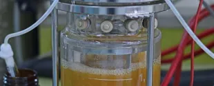 Seppic Opens New Laboratory Dedicated to Fermentation Biotechnologies in the US