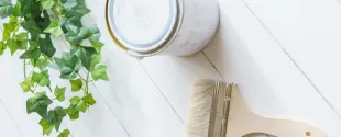 Sustainable Solutions with Clariant Paints & Coatings