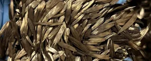 Syensqo partners with Vartega to drive use of postindustrial recycled carbon fiber