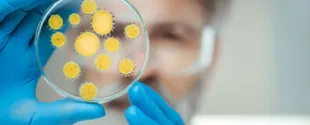 Univar Solutions Arxada Biocides Preservatives Brazil