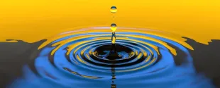 Waterborne Adhesives Additives: The Five Most Important in your Formulation