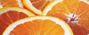 3-O-ETHYL ASCORBIC ACID