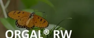 Orgal RW coating binders