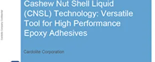 Cashew Nut Shell Liquid technology Versatile tools for high performance epoxy adhesives
