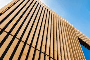 Wood & Furniture Coatings