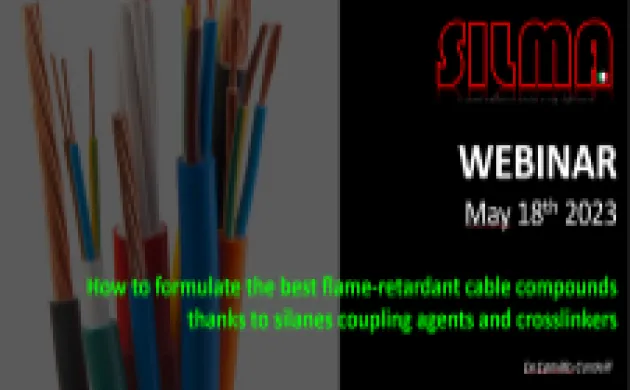 silma webinar snip