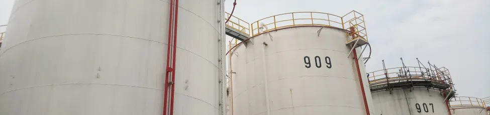 BASF commissions 2-EHA storage tank in Indonesia for faster regional supply