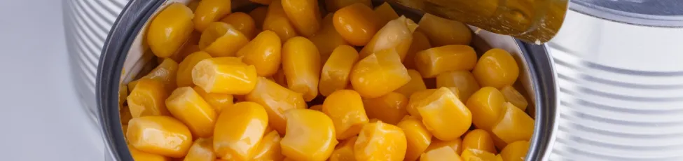Macroocean copolyesters for can coatings