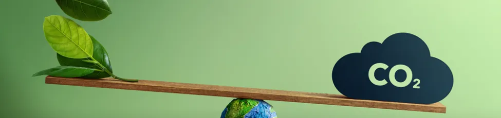 Momentive releases 2024 sustainability report highlighting emissions reductions and energy progress