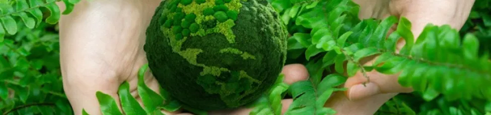 Thomas Swan Achieves EcoVadis Platinum, Ranking in Top 1% for Sustainability